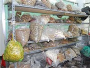 Bóng đá anh, ngoại hạng anh, lịch thi đấu euro 2012, Xử phạt phòng khám đông y chưa đủ sức răn đe 